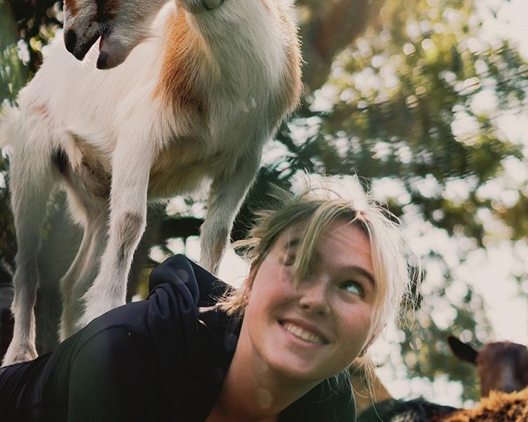 Student going goat yoga in Plant Park